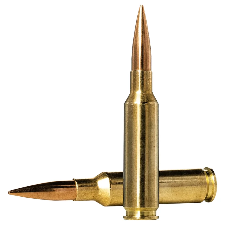 shinertactical_2026_04_28_02_06_48_200441