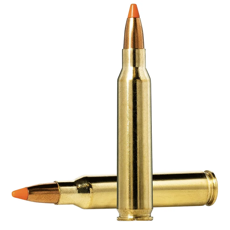shinertactical_2026_04_28_02_29_00_202136