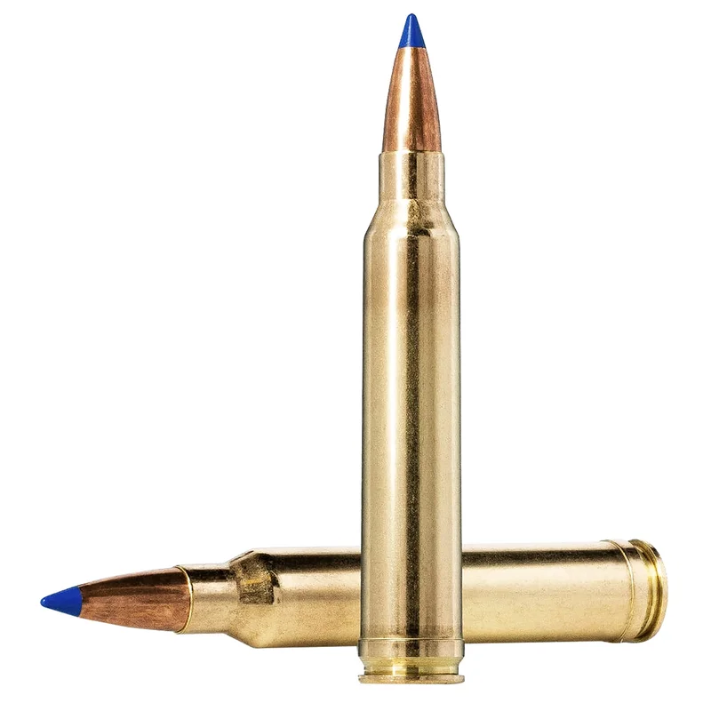 shinertactical_2026_04_28_05_02_52_217012
